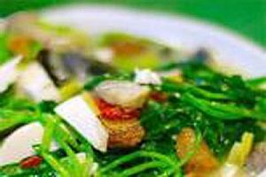 蕨菜肉汤