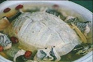 参杞龟汤