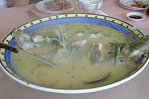 桂鱼汤