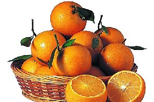 酸橙的功效与作用