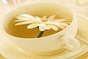 什么是菊花豆子茶