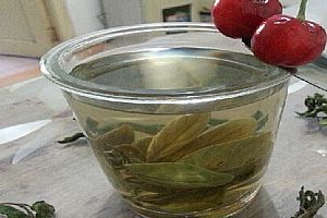 柿叶蜂蜜茶