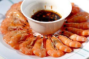 (4)盐水虾