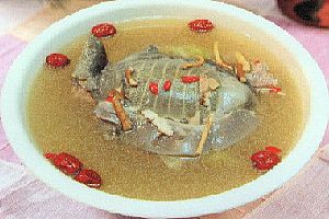 白菜甲鱼汤