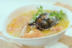 红参龟凤汤