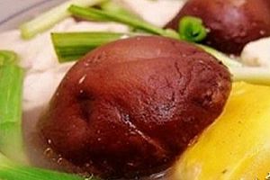 (1)鲜蘑豆腐汤