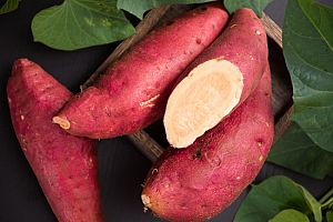 红薯叶的功效与作用 红薯叶怎么做好吃