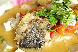 (2)香菜豆腐鱼头汤